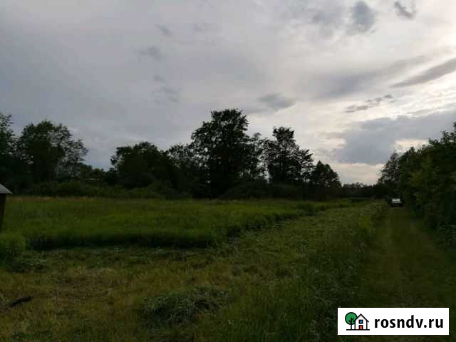 Участок ИЖС 22 сот. на продажу в Ивангороде Ивангород - изображение 1