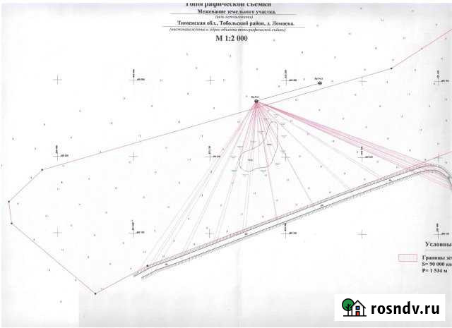 Участок СНТ, ДНП 1000 сот. на продажу в Тобольске Тобольск - изображение 1