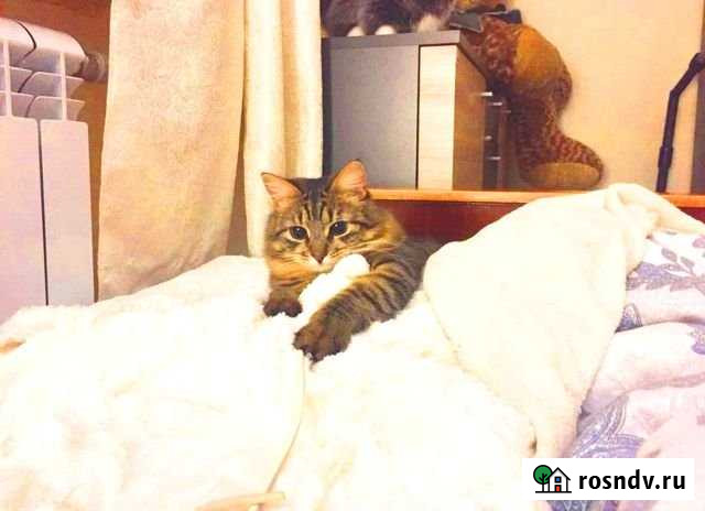 1-комнатная квартира, 47 м², 7/9 эт. в аренду посуточно во Владимире Владимир - изображение 1