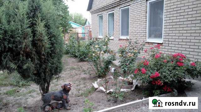 Дом 79.6 м² на участке 5.3 сот. на продажу в Шахтах Шахты - изображение 1