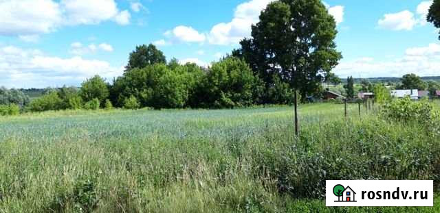 Участок ИЖС 24 сот. на продажу в Елабуге Елабуга - изображение 1