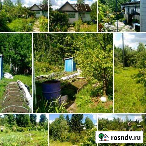 Дача 20 м² на участке 10 сот. на продажу в Кингисеппе Кингисепп - изображение 1