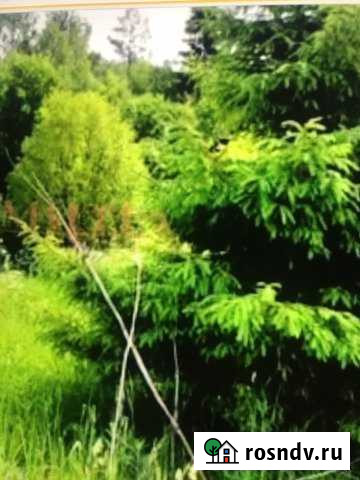 Участок ИЖС 12 сот. на продажу в Сиверском Сиверский - изображение 1