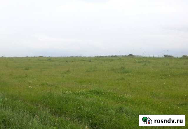 Участок СНТ, ДНП 116 сот. на продажу в Кондопоге Кондопога - изображение 1