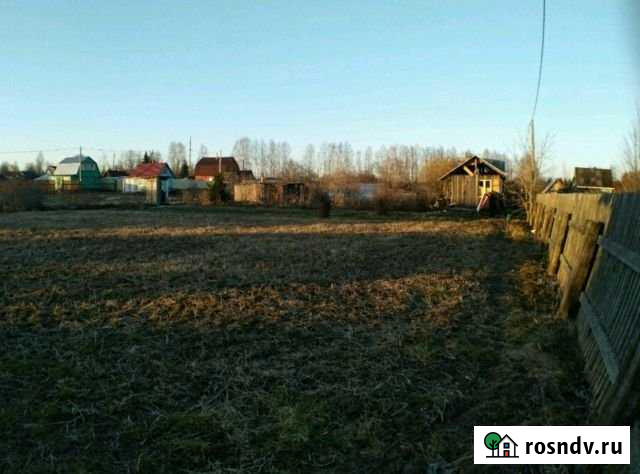 Участок СНТ, ДНП 12 сот. на продажу в Молочном Вологодской области Молочное - изображение 1
