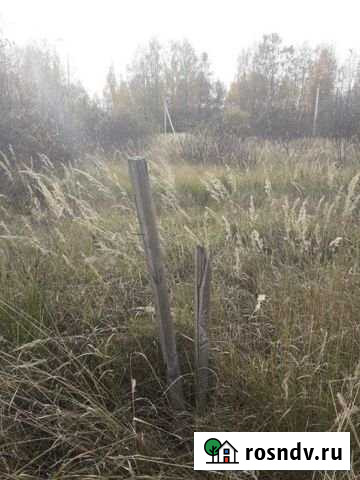 Участок СНТ, ДНП 12 сот. на продажу в Некрасовском Ярославской области Некрасовское - изображение 1