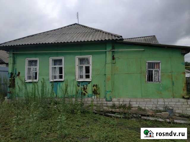 Дом 44.8 м² на участке 7 сот. на продажу в Репьевке Репьевка - изображение 1