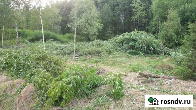 Участок ИЖС 15 сот. на продажу в Рогачево Рогачево - изображение 1