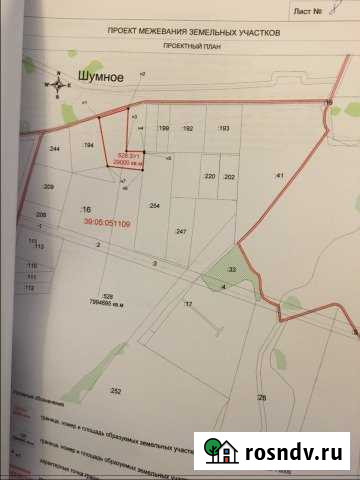 Участок СНТ, ДНП 300 сот. на продажу в Зеленоградске Зеленоградск - изображение 1