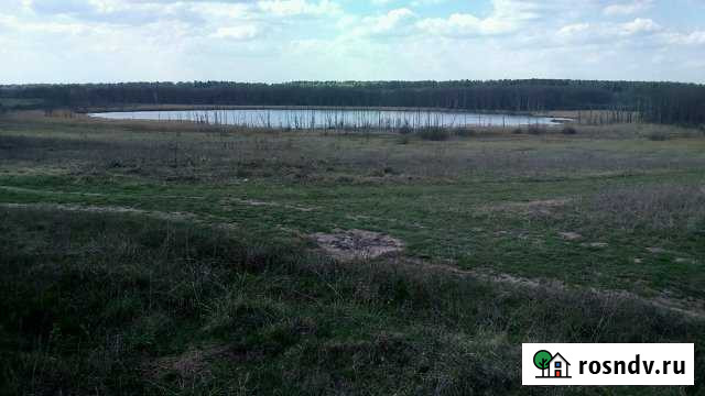 Участок СНТ, ДНП 16 сот. на продажу в Александрове Александров - изображение 1