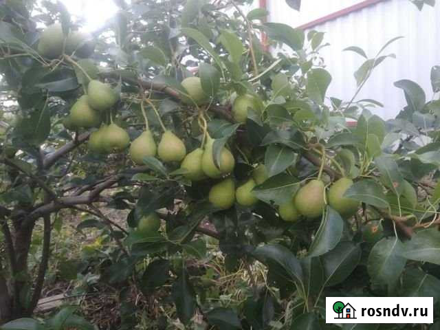 Участок ИЖС 10 сот. на продажу в Пушкино Пушкино - изображение 1