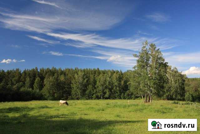 Участок СНТ, ДНП 650 сот. на продажу в Екатеринбурге Екатеринбург - изображение 1