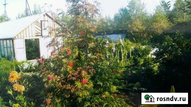 Дача 45 м² на участке 7 сот. на продажу в Нижневартовске Нижневартовск - изображение 1