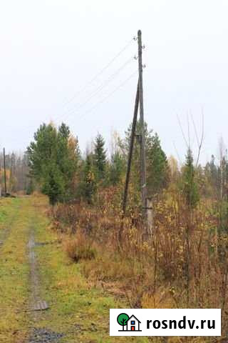 Участок СНТ, ДНП 13 сот. на продажу в Петрозаводске Петрозаводск - изображение 1