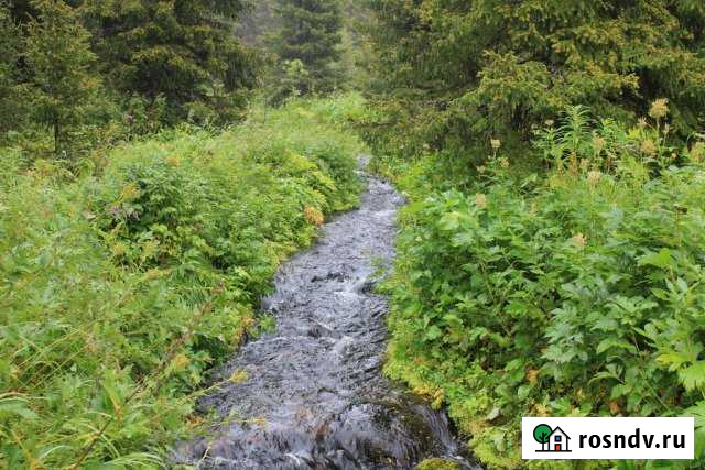 Участок СНТ, ДНП 400 сот. на продажу в Горно-Алтайске Горно-Алтайск - изображение 1