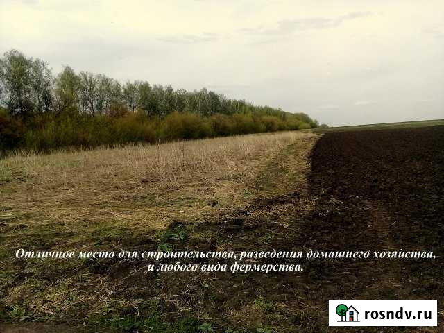 Участок СНТ, ДНП 200 сот. на продажу в Щекино Щекино - изображение 1