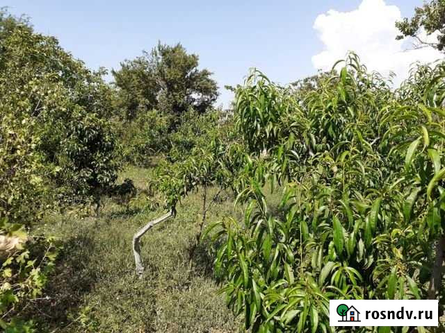 Участок ИЖС 9 сот. на продажу в Саках Саки - изображение 1