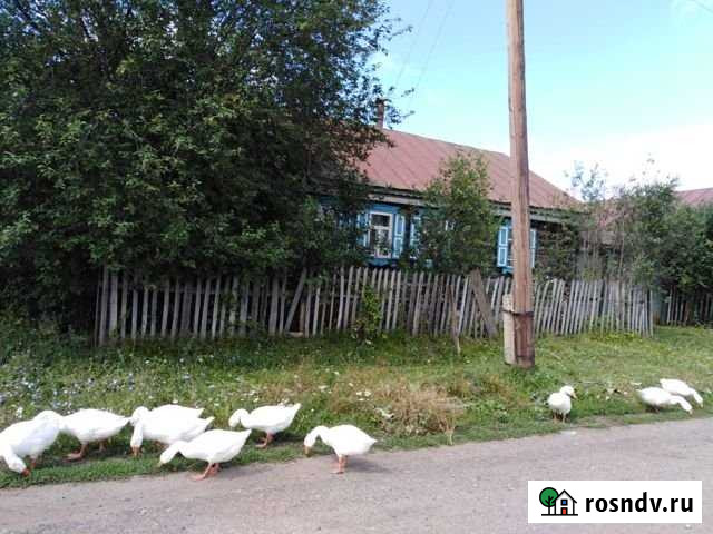 Дом 1500 м² на участке 50 сот. на продажу в Канаше Канаш - изображение 1