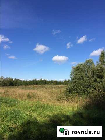 Участок ИЖС 40 сот. на продажу в Старой Руссе Старая Русса - изображение 1