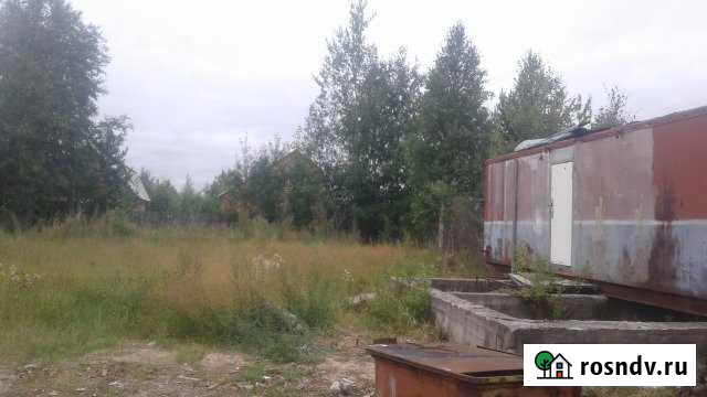 Участок СНТ, ДНП 6 сот. на продажу в Сургуте Ханты-Мансийского АО Сургут - изображение 1