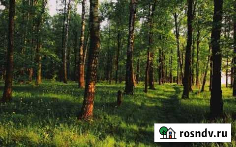 Участок ИЖС 10 сот. на продажу в Нижнем Тагиле Нижний Тагил - изображение 1