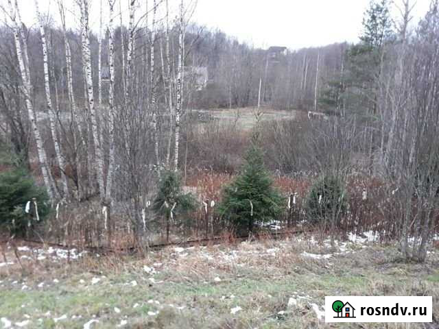 Участок ИЖС 12 сот. на продажу в Токсово Токсово - изображение 1