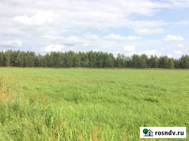 Участок СНТ, ДНП 200 сот. на продажу в Шатуре Шатура - изображение 1