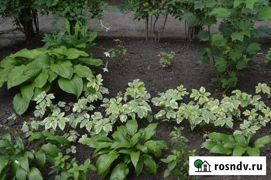 Дача 30 м² на участке 4 сот. на продажу в Ульяновске Ульяновск - изображение 1