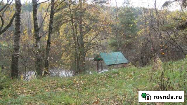 Участок ИЖС 4550 сот. на продажу в Пироговском Пироговский - изображение 1