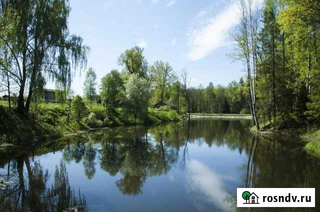 Участок ИЖС 20 сот. на продажу в Костерево Костерево - изображение 1