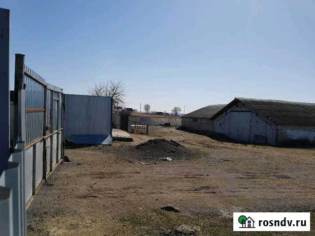 Производственная площадь Добрунь - изображение 1