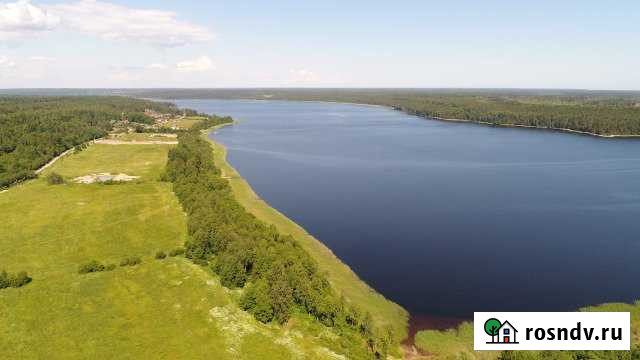 Участок СНТ, ДНП 6 сот. на продажу в Сосново Сосново - изображение 1