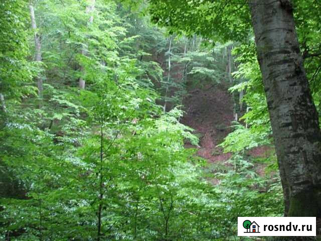 Участок ИЖС 25 сот. на продажу в Днепровской Днепровская - изображение 1