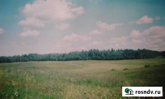 Участок СНТ, ДНП 444 сот. на продажу в Санкт-Петербурге Санкт-Петербург - изображение 1