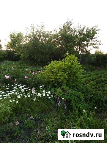 Участок СНТ, ДНП 600 сот. на продажу в Копейске Копейск - изображение 1