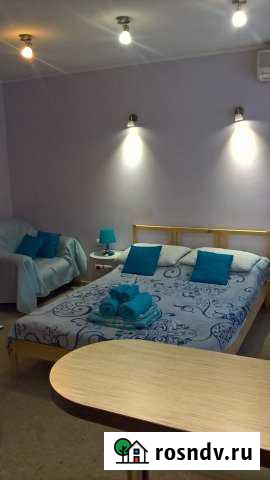 1-комнатная квартира, 44 м², 1/5 эт. в аренду посуточно в Омске Омск - изображение 1