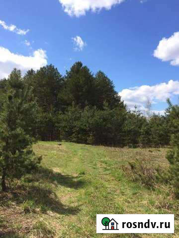 Участок ИЖС 276 сот. на продажу в Новосокольниках Новосокольники - изображение 1