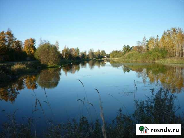 Участок ИЖС 35 сот. на продажу в Волосово Волосово - изображение 1