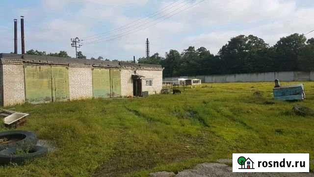 Участок СНТ, ДНП 1100 сот. на продажу в Артеме Артем - изображение 1