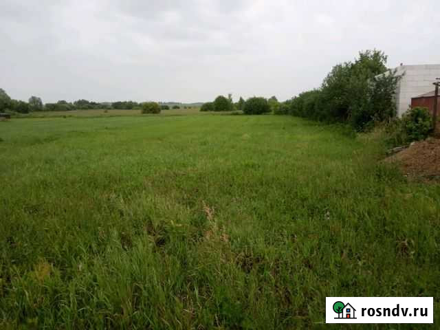 Участок ИЖС 16 сот. на продажу в Кочкурово Кочкурово - изображение 1