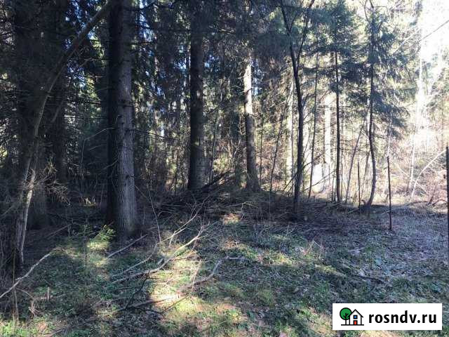 Участок ИЖС 25 сот. на продажу в Горках-10  Горки-10 - изображение 1