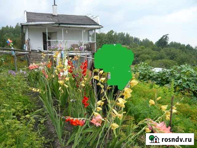 Дача 35 м² на участке 20 сот. на продажу в Новокузнецке Новокузнецк - изображение 1