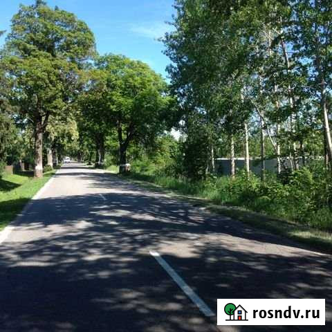 Участок ИЖС 50 сот. на продажу в Гурьевске Калининградской области Гурьевск - изображение 1