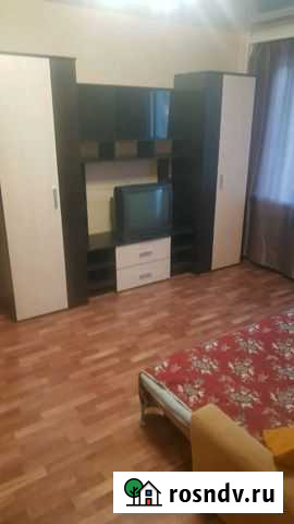 1-комнатная квартира, 40 м², 2/5 эт. в аренду посуточно в Биробиджане Биробиджан - изображение 1