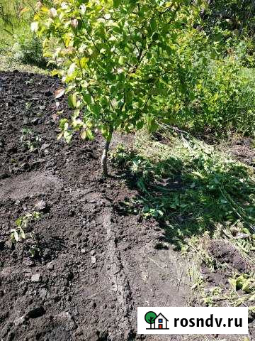 Участок СНТ, ДНП 5 сот. на продажу в Хохле Хохол - изображение 1