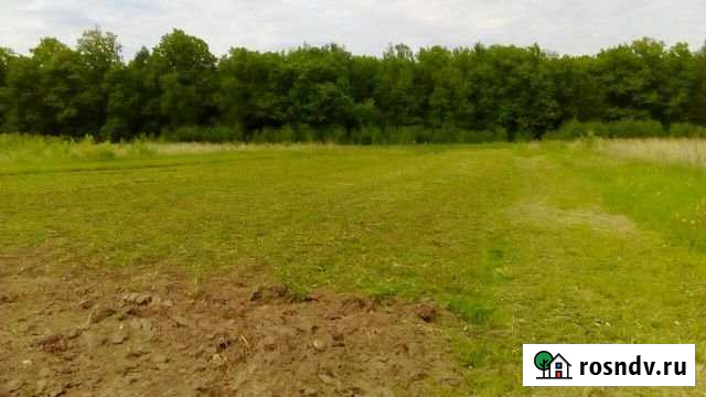 Участок ИЖС 25 сот. на продажу в Песках Московской области Пески - изображение 1