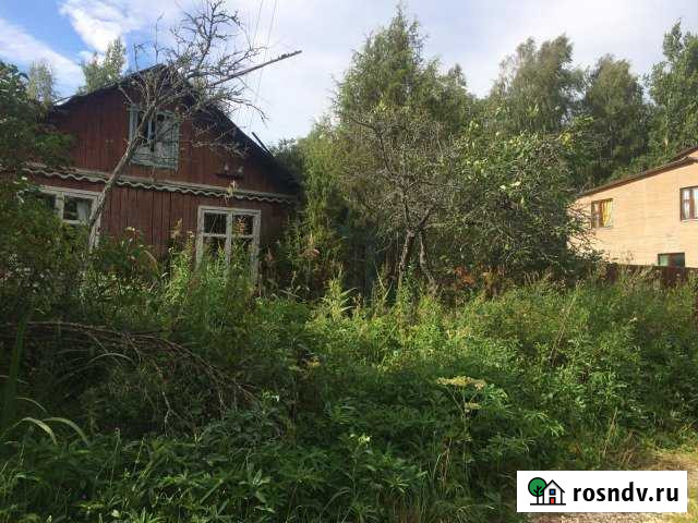 Дача 20 м² на участке 6 сот. на продажу в Лотошино Лотошино - изображение 1