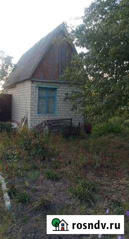 Дача 20 м² на участке 6 сот. на продажу в Брянске Брянск - изображение 1