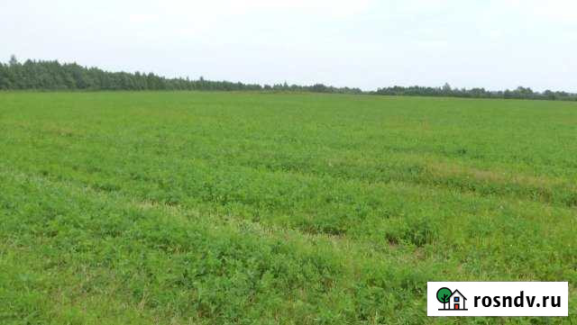 Участок СНТ, ДНП 1300 сот. на продажу в Пскове Псков - изображение 1