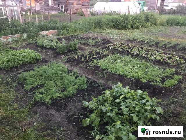 Участок СНТ, ДНП 6 сот. на продажу в Чике Чик - изображение 1